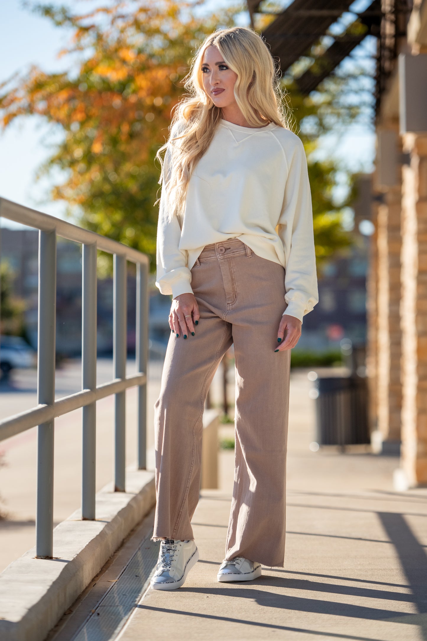 Ariel Straight Wide Leg Denim Pants
