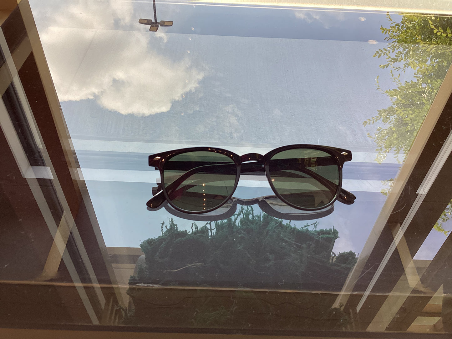 Summer Sunnies