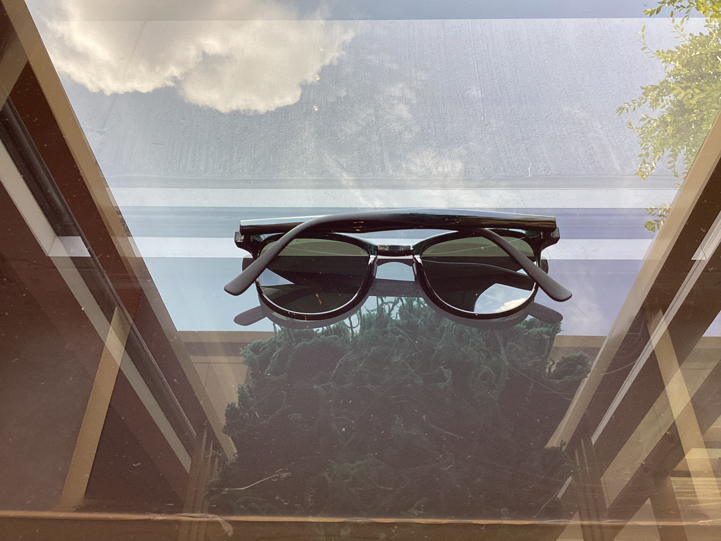 Summer Sunnies