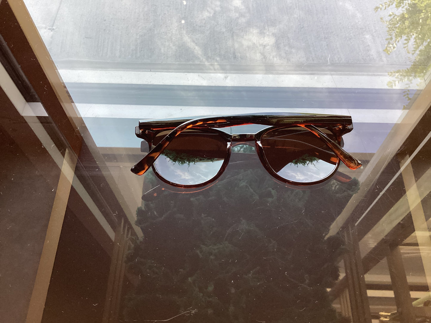Summer Sunnies